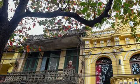 Khoảnh khắc Hà Nội trong mùa đẹp nhất năm